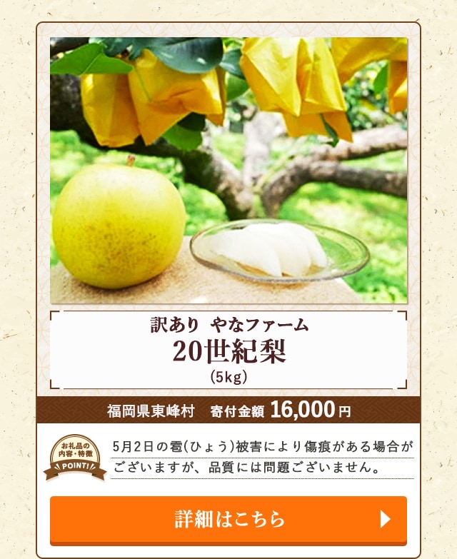 「【訳あり】やなファーム 20世紀梨」(5kg)/福岡県東峰村（寄付金額 16,000円）