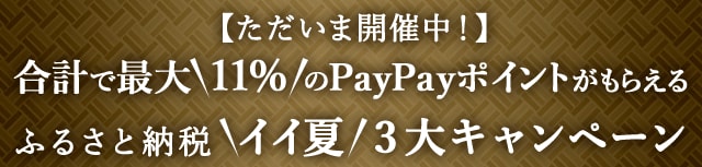 ＼ただいま開催中！／合計で最大＼11%／のPayPayポイントがもらえるふるさと納税＼イイ夏／３大キャンペーン