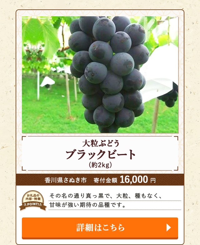 「大粒ぶどう ブラックビート」(約2kg)/香川県さぬき市（寄付金額 16,000円）