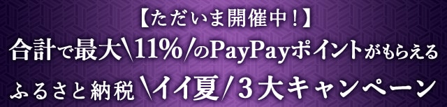 ＼ただいま開催中！／合計で最大＼11%／のPayPayポイントがもらえるふるさと納税＼イイ夏／３大キャンペーン