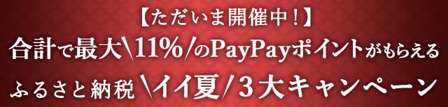＼ただいま開催中！／合計で最大＼11%／のPayPayポイントがもらえるふるさと納税＼イイ夏／３大キャンペーン