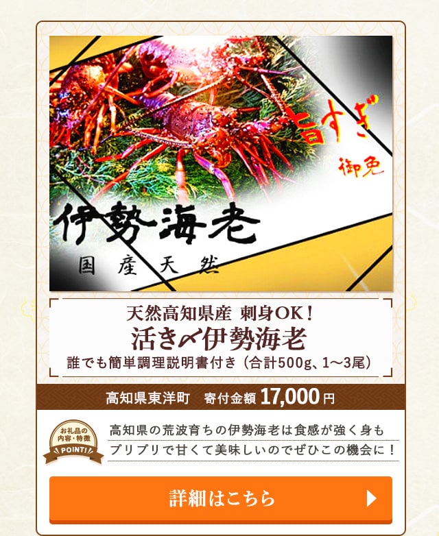 「活き〆伊勢海老 天然高知県産 刺身OK！誰でも簡単調理説明書付き」(合計500g、1～3尾)/高知県東洋町（寄付金額 17,000円）
