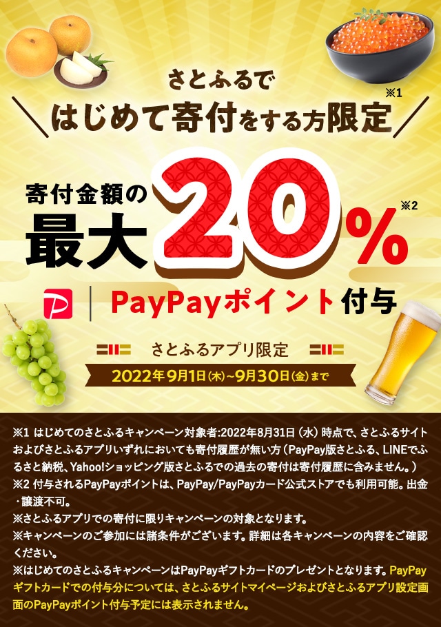 はじめてのさとふるキャンペーン