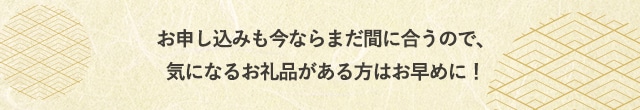お申し込みも今ならまだ間に合うので、気になるお礼品がある方はお早めに！