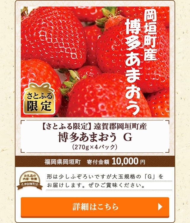 「【さとふる限定】遠賀郡岡垣町産『博多あまおう G』」(270g×4パック)/福岡県岡垣町（寄付金額 10,000円） 
