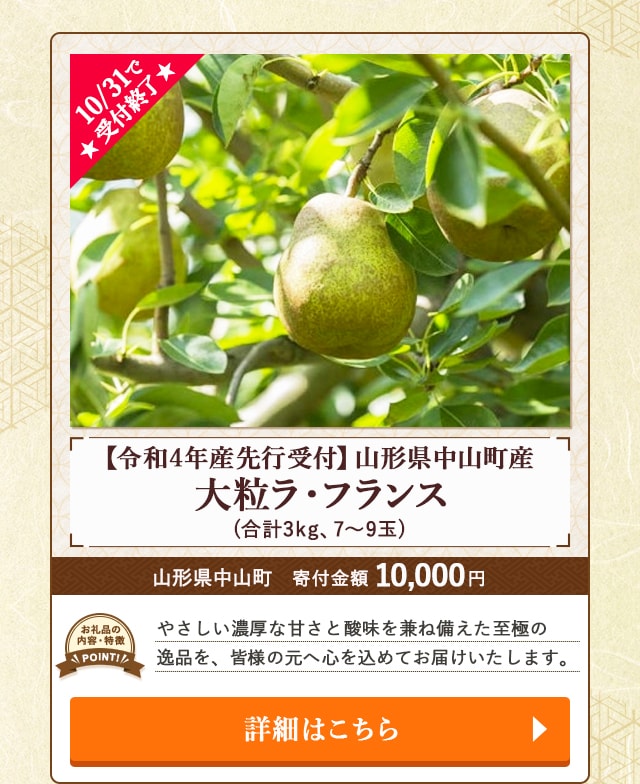 ★10/31で受付終了★「【令和4年産先行受付】山形県中山町産 大粒ラ・フランス」(合計3kg、7～9玉)/山形県中山町（寄付金額 10,000円）