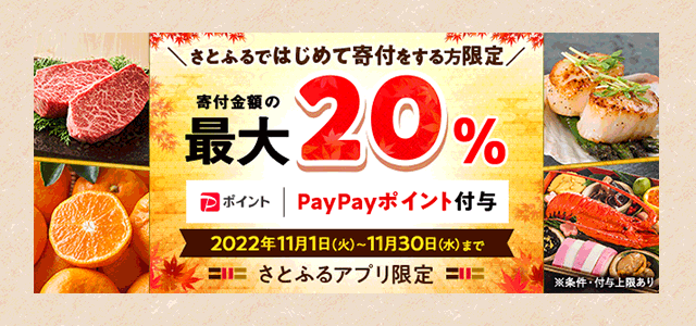 はじめてのさとふるキャンペーン