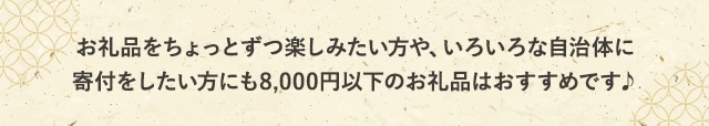 お礼品をちょっとずつ楽しみたい方や、いろいろな自治体に寄付をしたい方にも8,000円以下のお礼品はおすすめです♪