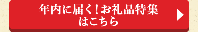 年内に届く！お礼品特集はこちら