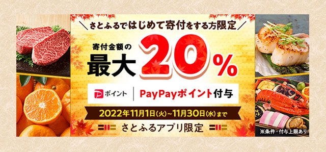 はじめてのさとふるキャンペーン