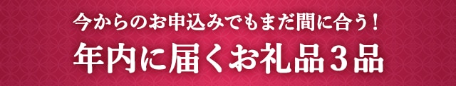《今からのお申込みでもまだ間に合う！》年内に届くお礼品４品