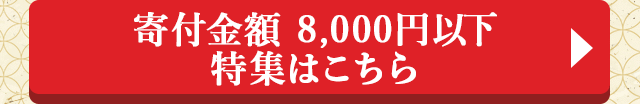 寄付金額 8,000円以下特集はこちら