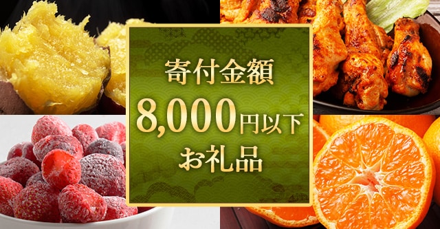 寄付金額8,000円以下お礼品特集