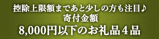 《控除上限額まであと少しの方も注目♪》寄付金額が8,000円以下のお礼品４品