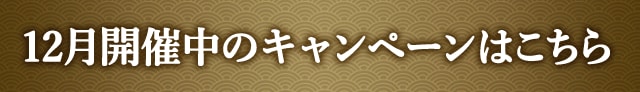 12月開催中のキャンペーンはこちら