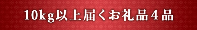 10kg以上届くお礼品４品