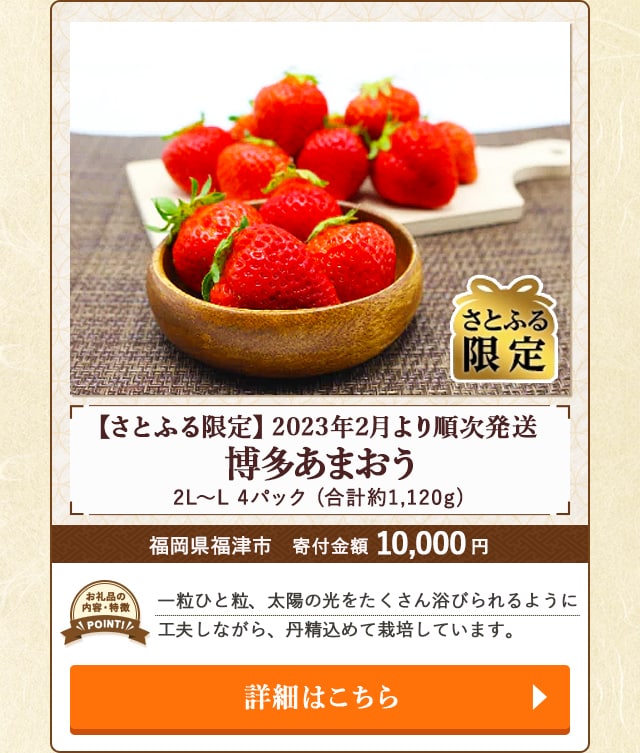 「【さとふる限定】博多あまおう(2L～L)『2023年2月より順次発送』」(合計約1,120g、4パック)/福岡県福津市（寄付金額 10,000円）