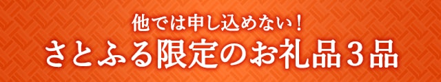他では申し込めない！さとふる限定のお礼品３品