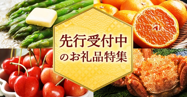 先行受付中のお礼品特集
