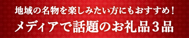 《地域の名物を楽しみたい方にもおすすめ！》メディアで話題のお礼品３品