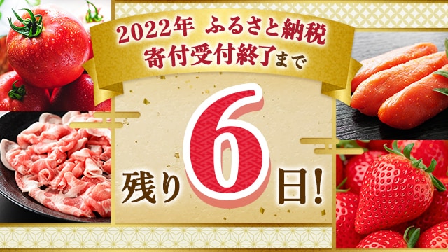 2022年ふるさと納税寄付受付終了まで残り6日！