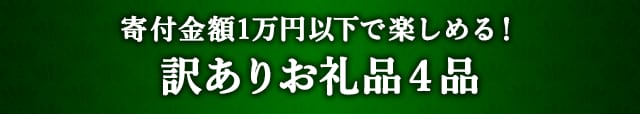 《寄付金額1万円以下で楽しめる！》訳ありお礼品４品