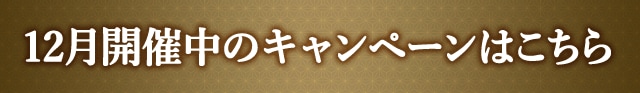 12月開催中のキャンペーンはこちら
