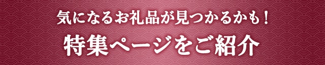 《気になるお礼品が見つかるかも！》特集ページをご紹介♪
