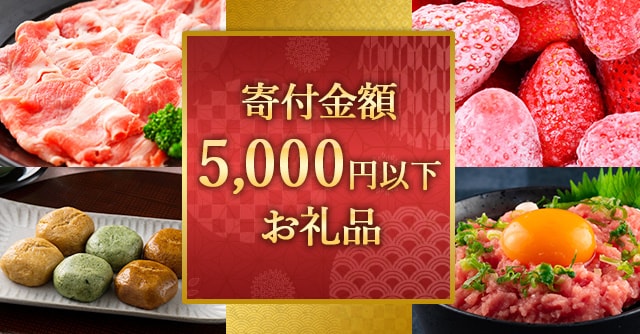 寄付金額5000円以下お礼品