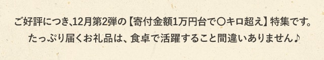 ご好評につき、12月第2弾の【寄付金額1万円台で〇キロ超え】特集です。たっぷり届くお礼品は、食卓で活躍すること間違いありません♪