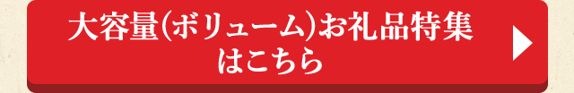大容量(ボリューム)お礼品特集はこちら