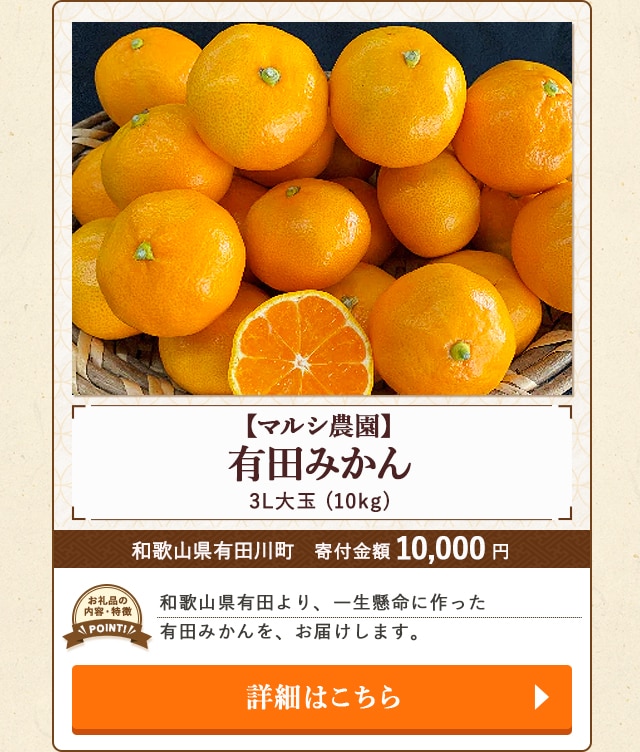 「有田みかん 3L大玉【マルシ農園】」(10kg)/和歌山県有田川町（寄付金額 10,000円）