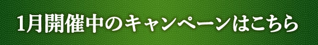 1月開催中のキャンペーンはこちら