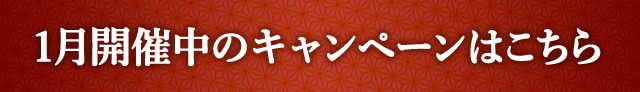 1月開催中のキャンペーンはこちら