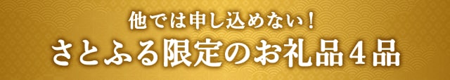 他では申し込めない！さとふる限定のお礼品４品