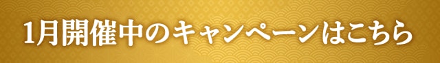 1月開催中のキャンペーンはこちら