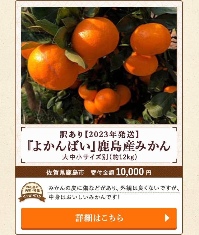 「『よかんばい』鹿島産みかん 訳あり 大中小サイズ別【2023年発送】」(約12kg)/佐賀県鹿島市（寄付金額 10,000円）