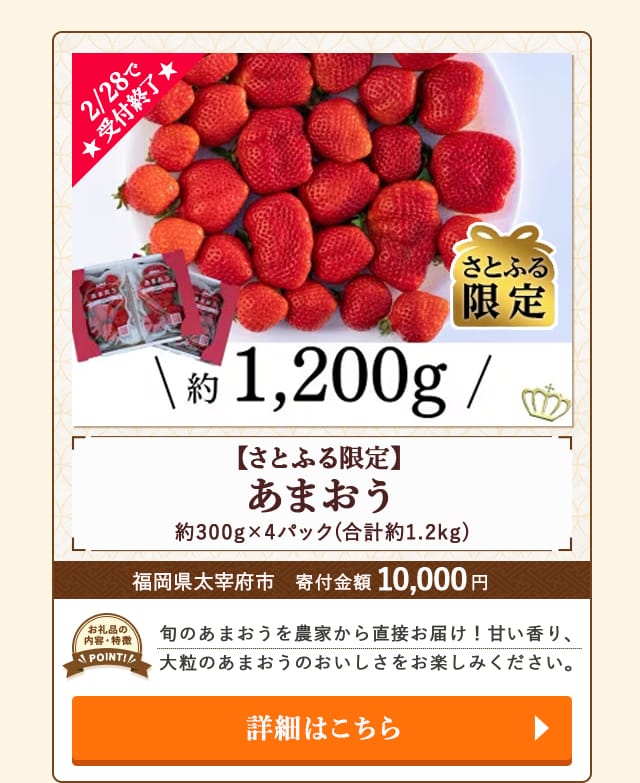 ★2/28で受付終了★「【さとふる限定】あまおう」(合計約1.2kg、約300g×4パック)/福岡県太宰府市（寄付金額 10,000円）
