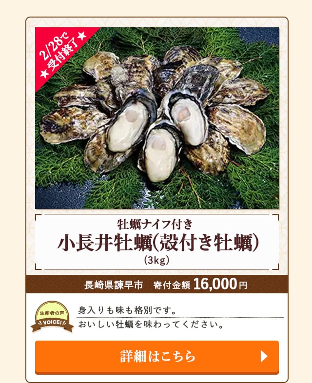 ★2/28で受付終了★「小長井牡蠣(殻付き牡蠣) 牡蠣ナイフ付き」(3kg)/長崎県諫早市（寄付金額 16,000円）