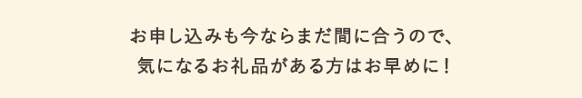 お申し込みも今ならまだ間に合うので、気になるお礼品がある方はお早めに！