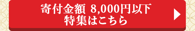 寄付金額8,000円以下特集はこちら