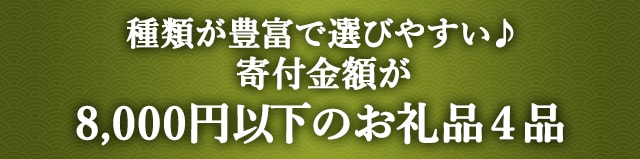 《種類が豊富で選びやすい♪》寄付金額が8,000円以下のお礼品４品