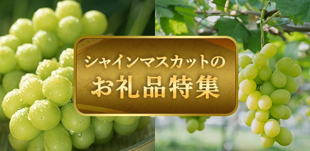 シャインマスカットのお礼品特集