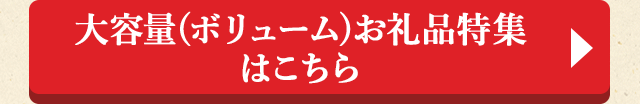 大容量(ボリューム)お礼品特集はこちら