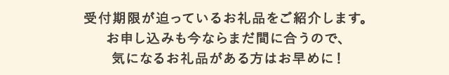 受付期限が迫っているお礼品をご紹介します。
			お申し込みも今ならまだ間に合うので、気になるお礼品がある方はお早めに！
