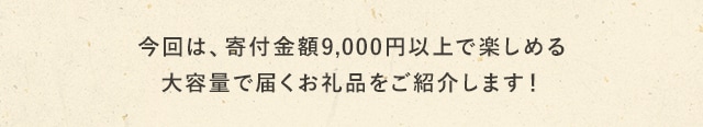 今回は、寄付金額9,000円以上で楽しめる大容量で届くお礼品をご紹介します！