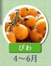 びわ　4月～6月