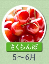 さくらんぼ　5月～6月