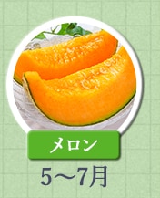 メロン　5月～7月