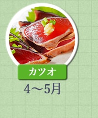 カツオ 4月～5月